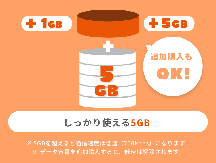 しっかり使える5GB